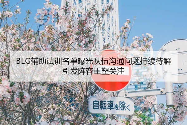 BLG辅助试训名单曝光队伍沟通问题持续待解引发阵容重塑关注